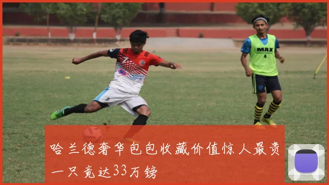 哈兰德奢华包包收藏价值惊人最贵一只竟达33万镑
